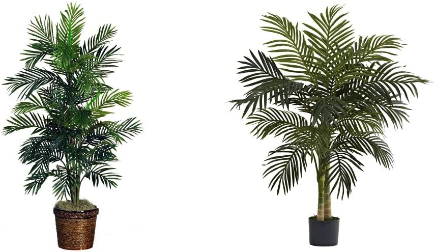 Areca Palm Silk Tree with Basket N287