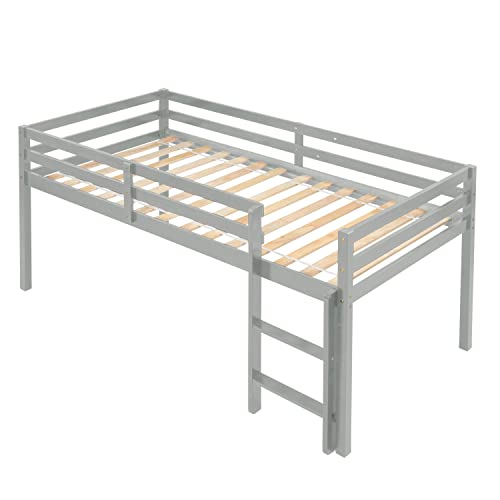 Twin Grey Solid Wood Low Loft Bed Frame with Ladders and Guard Rails C21457
