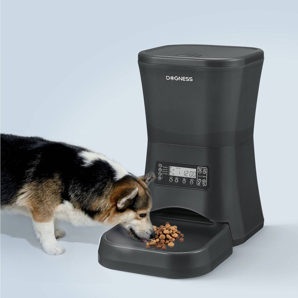 Automatic Dog & Cat Feeder, Black, 1.8-gal Q62970