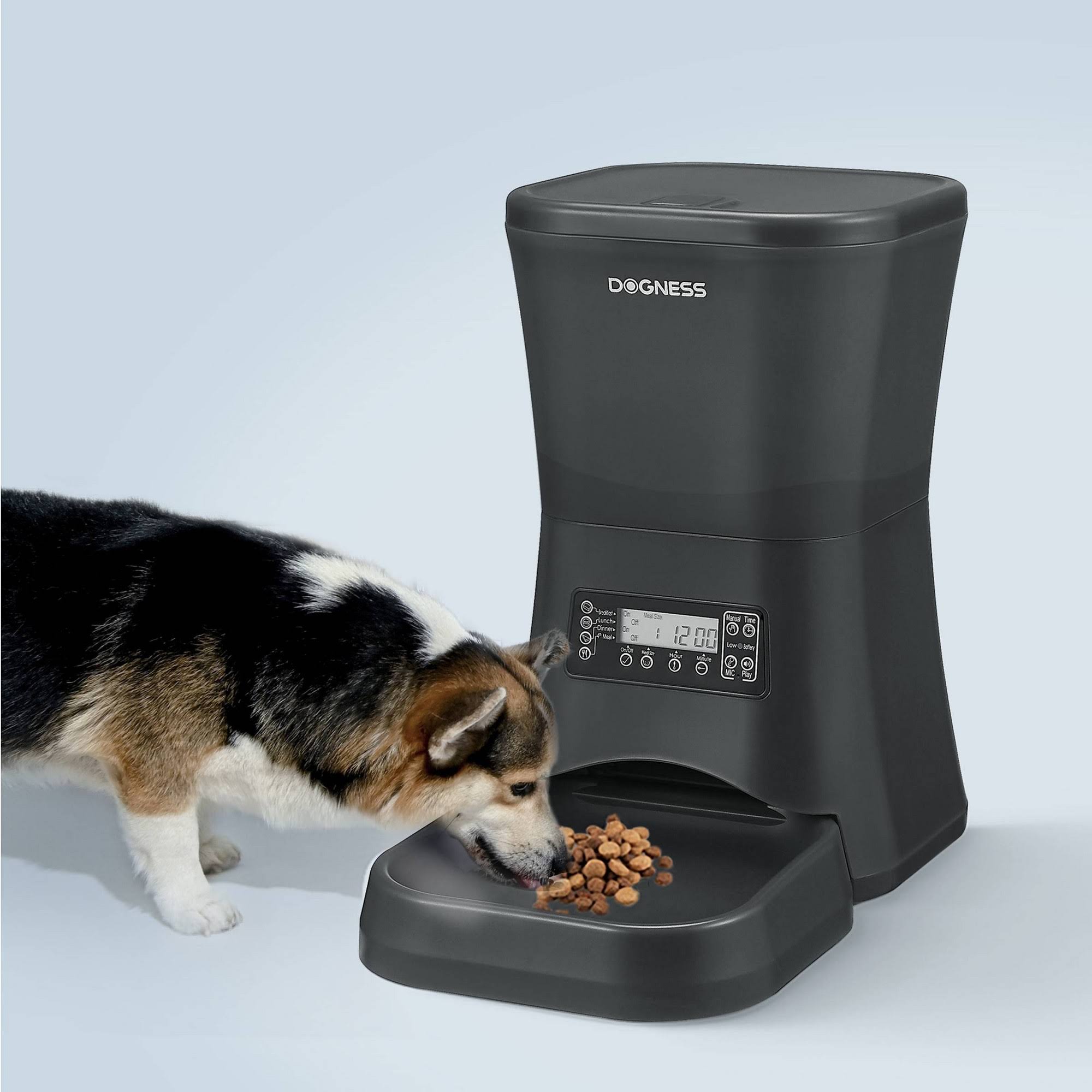 Automatic Dog & Cat Feeder, Black, 1.8-gal Q62970