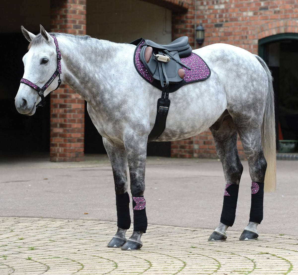 Pink Leopard Print Saddle Pad L483