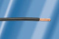 Orange Hook-Up Wire 5000 ft U2741