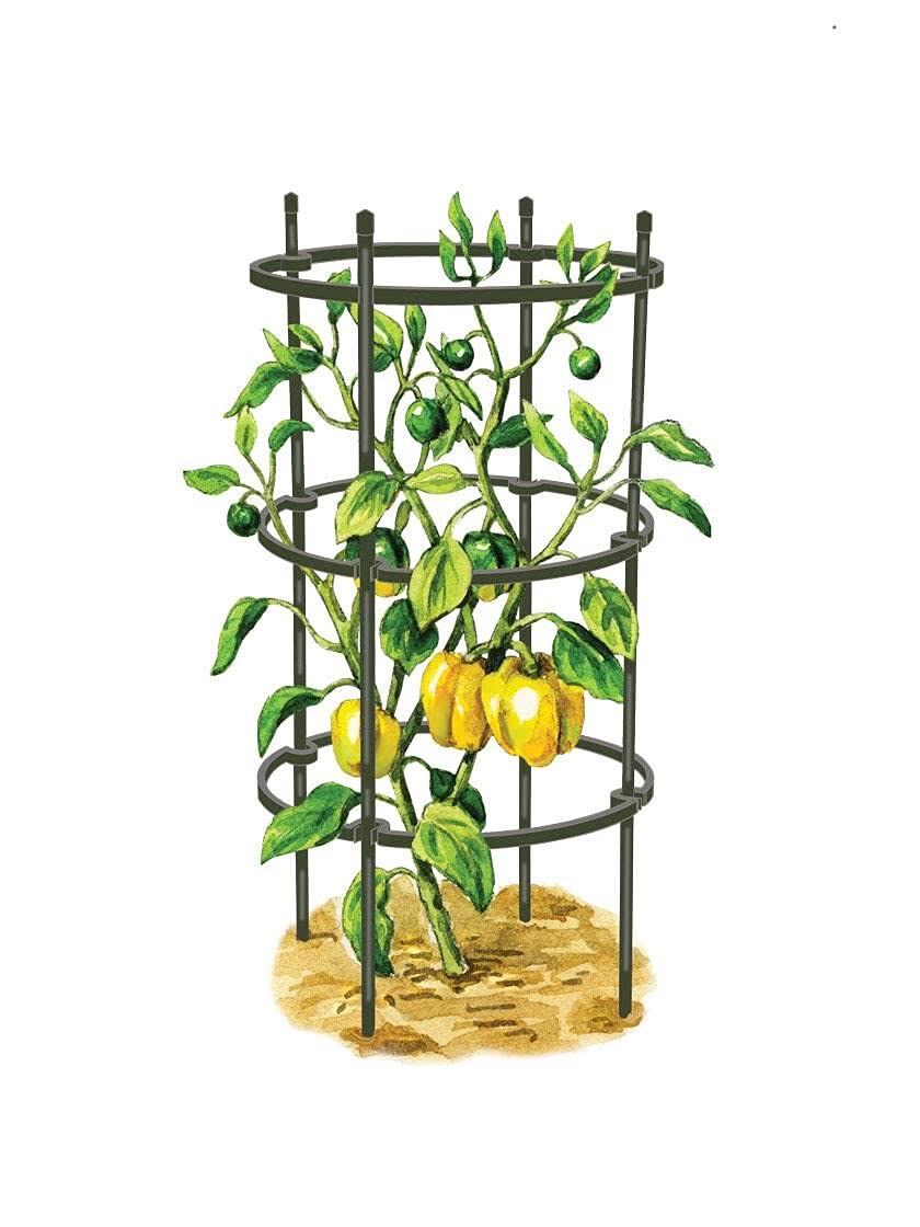 Set of 3 Pepper Eggplant Cages W2042