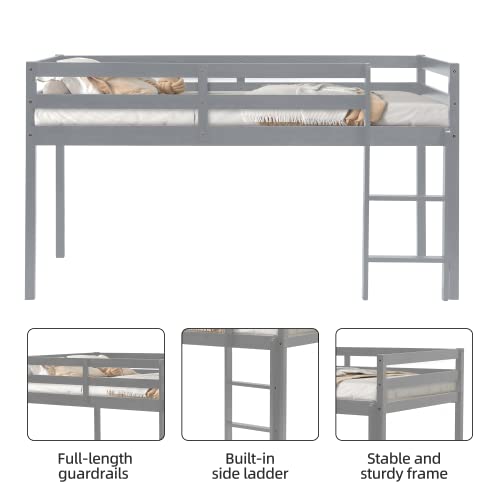 Twin Grey Solid Wood Low Loft Bed Frame with Ladders and Guard Rails C21457