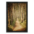 Silky Black Framed Photograph Print Y92629