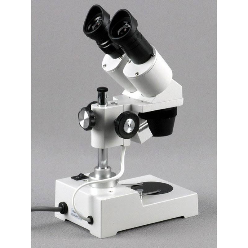 20X-40X-80X Stereo Microscope with 2MP USB Camera A42755