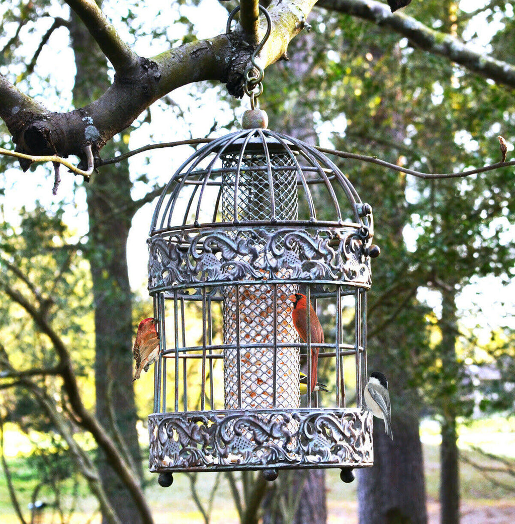 Rustic Metal Squirrel Proof Caged Bird Feeder X72477