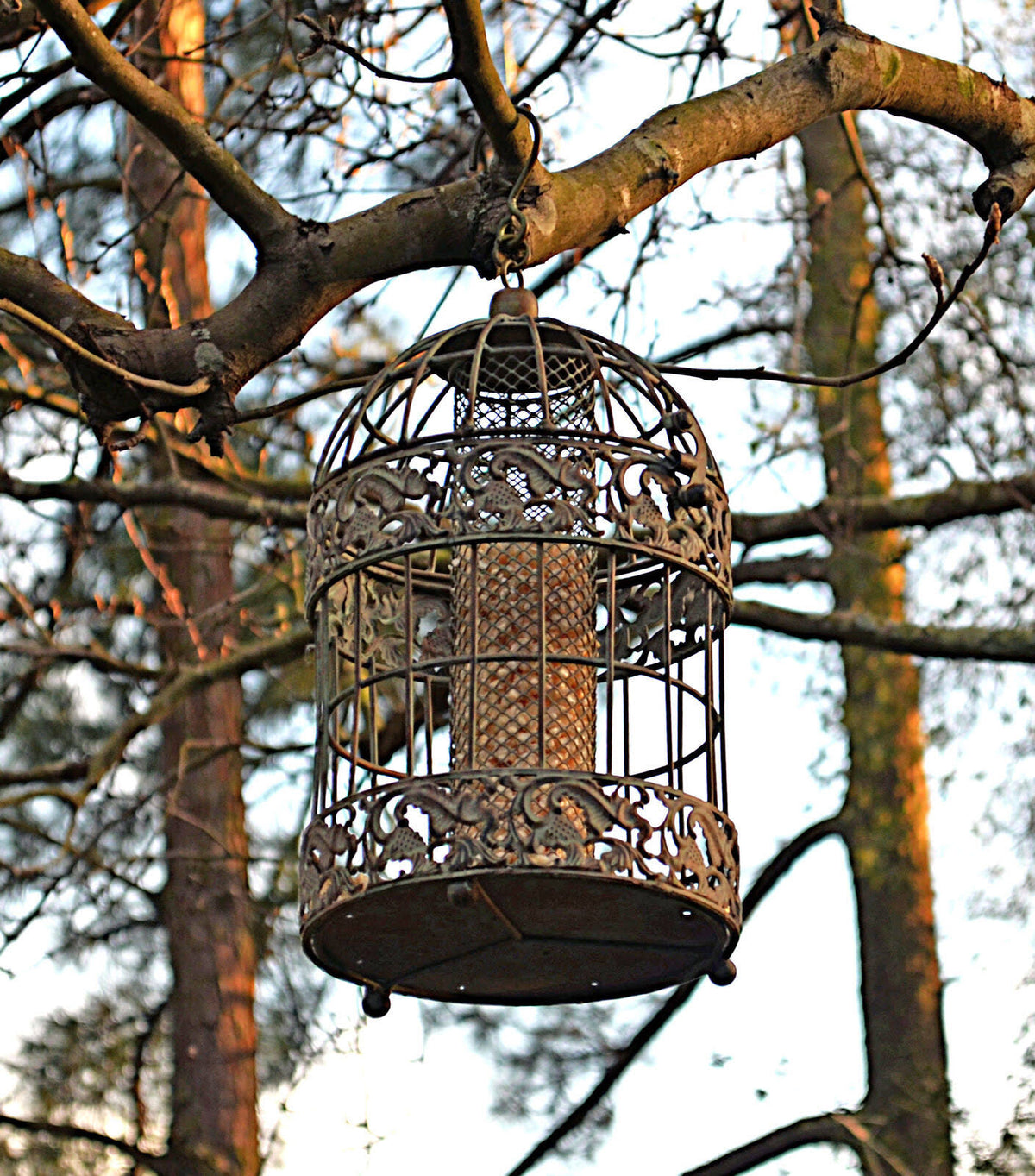 Rustic Metal Squirrel Proof Caged Bird Feeder X72477