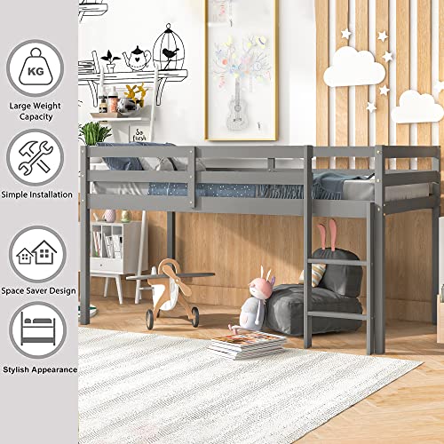 Twin Grey Solid Wood Low Loft Bed Frame with Ladders and Guard Rails C21457