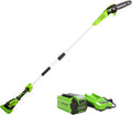 40V 8-Inch Cordless Polesaw with 2.0Ah Battery and Charger T67112