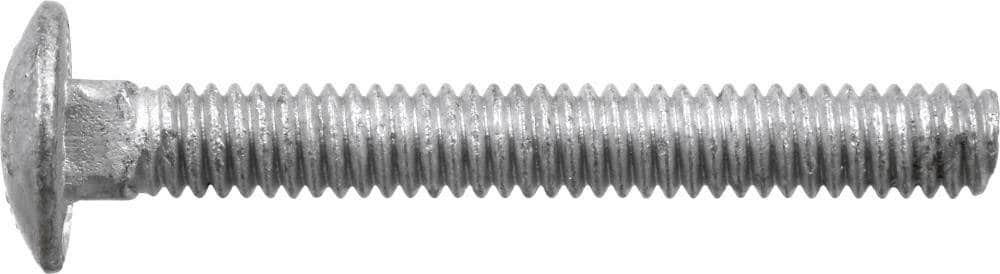 3/8-in x 2-in Galvanized Coarse Thread Exterior Carriage Bolt A345