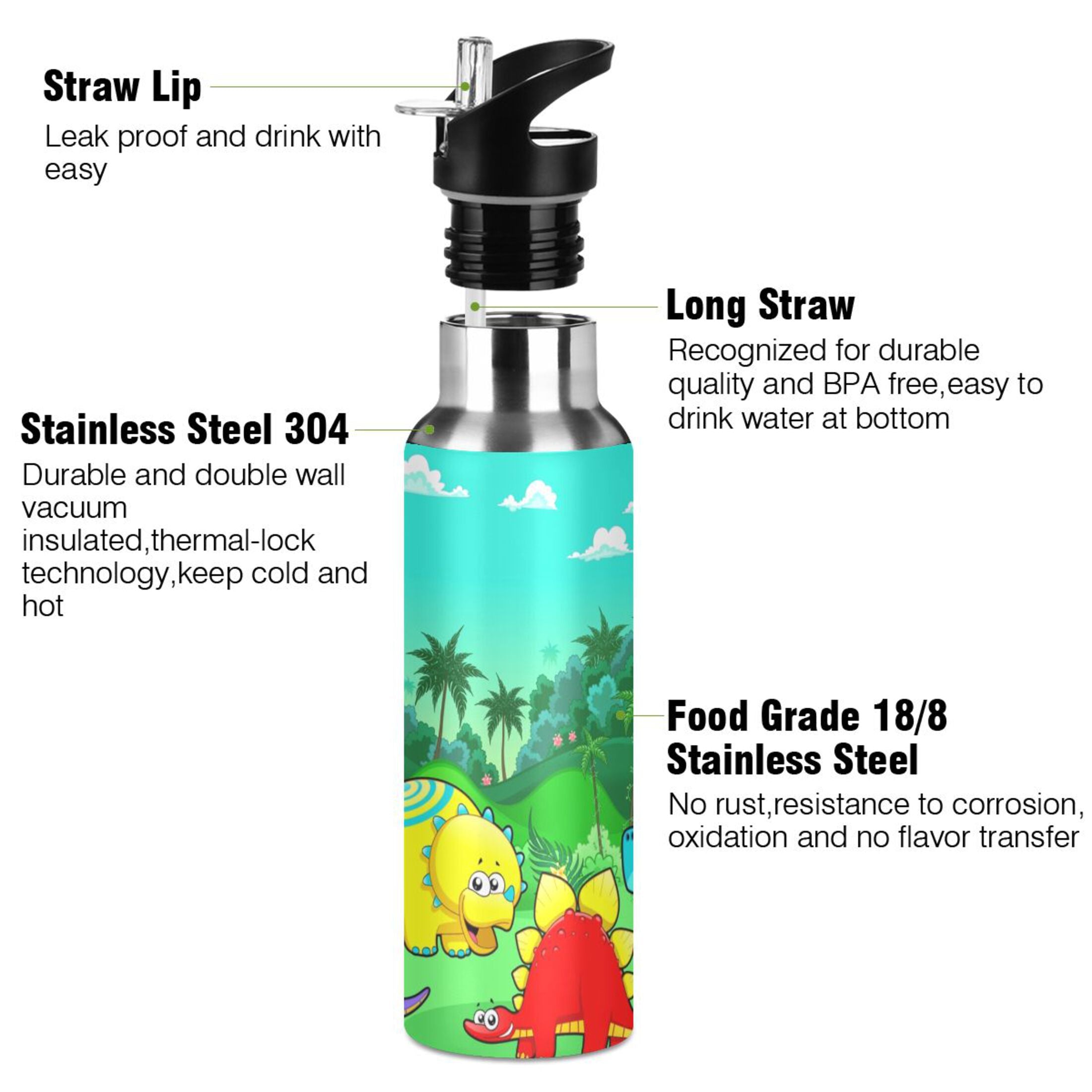 Stainless Steel Vacuum Insulated Water Bottle with Straw Lid 20 OZ E623