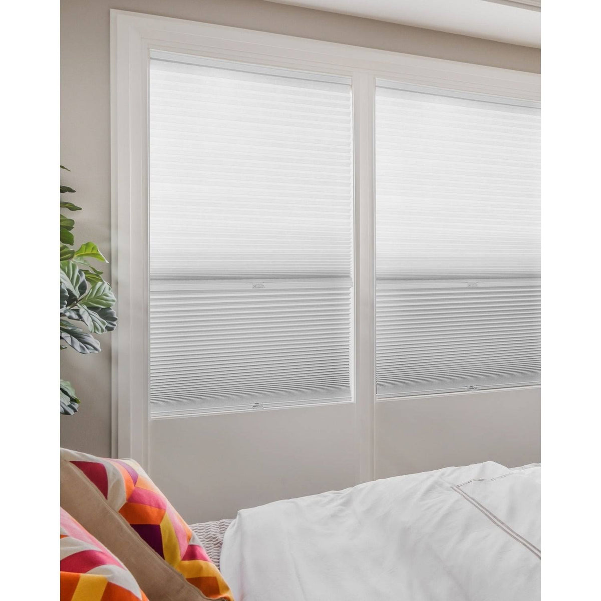 Cordless Cellular Shades Cotton 70x22 x 72x22 R353580