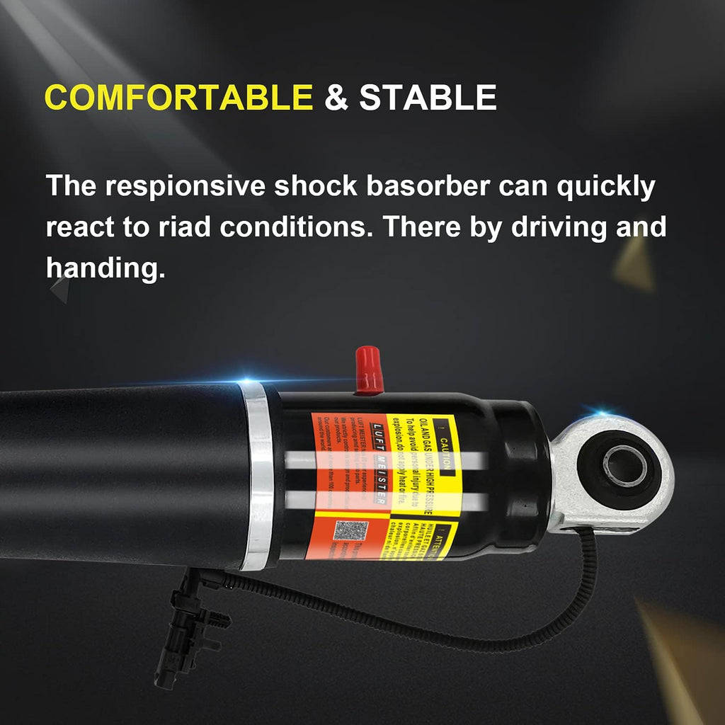 Rear Air Shock Absorber S716509