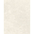 Cream Parchment Cardstock (1000 Qty.) P672