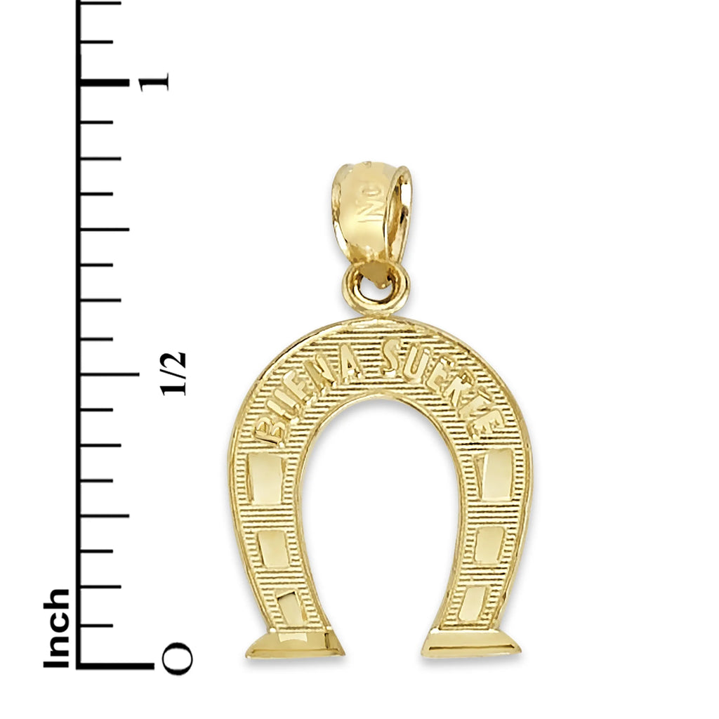 14k Solid Gold Horseshoe Pendant Necklace with 16" Rolo Chain E910