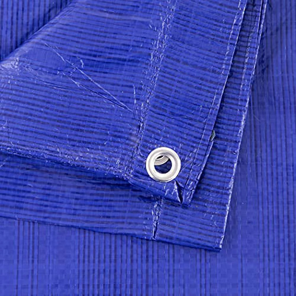 Blue 12-ft x 20-ft Poly Tarp O324
