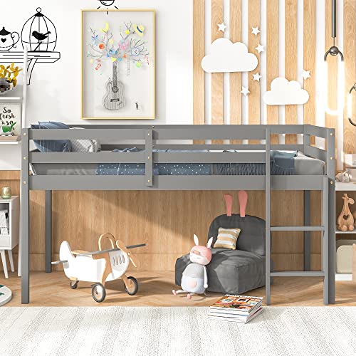 Twin Grey Solid Wood Low Loft Bed Frame with Ladders and Guard Rails C21457