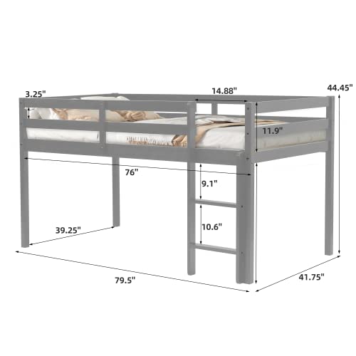 Twin Grey Solid Wood Low Loft Bed Frame with Ladders and Guard Rails C21457