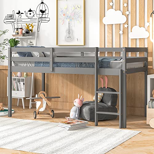 Twin Grey Solid Wood Low Loft Bed Frame with Ladders and Guard Rails C21457