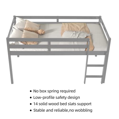 Twin Grey Solid Wood Low Loft Bed Frame with Ladders and Guard Rails C21457