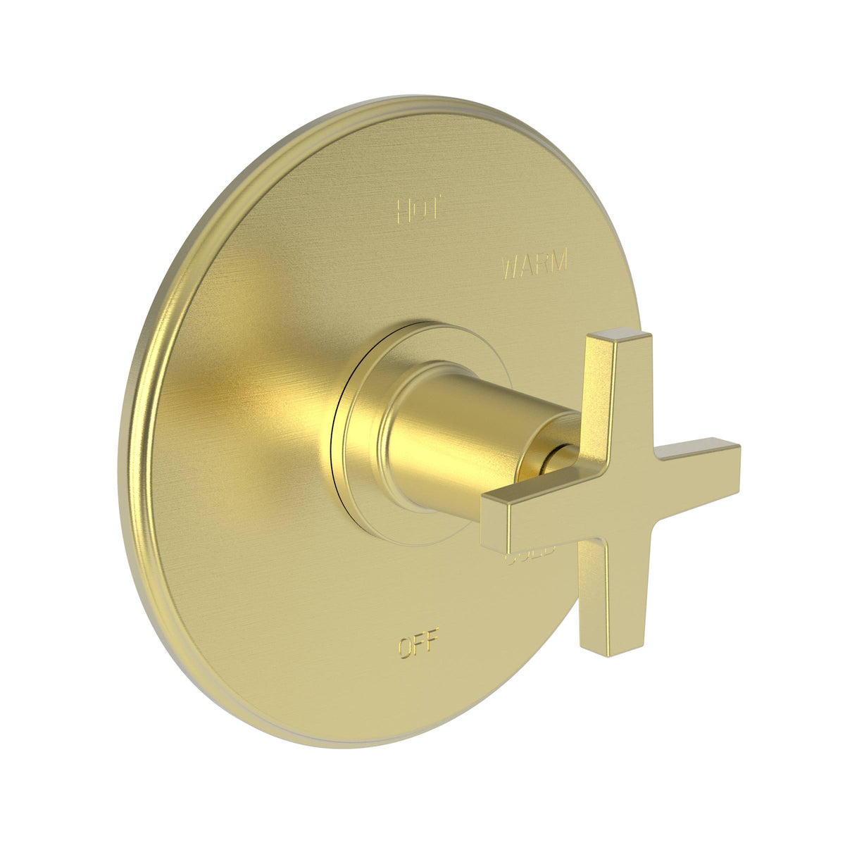 Antique Brass Shower Trim Plate with Handle E538
