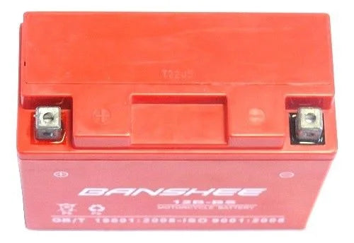 GT12B-4 Replacement Motorcycle Battery P793951