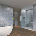 Chrome Frameless Hinged Shower Door M9291