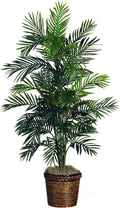 Areca Palm Silk Tree with Basket N287