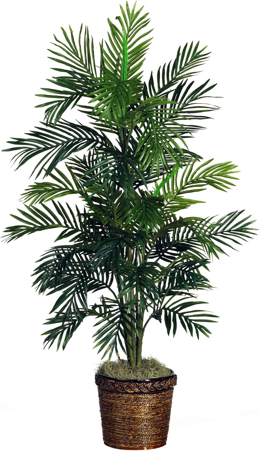 Areca Palm Silk Tree with Basket N287