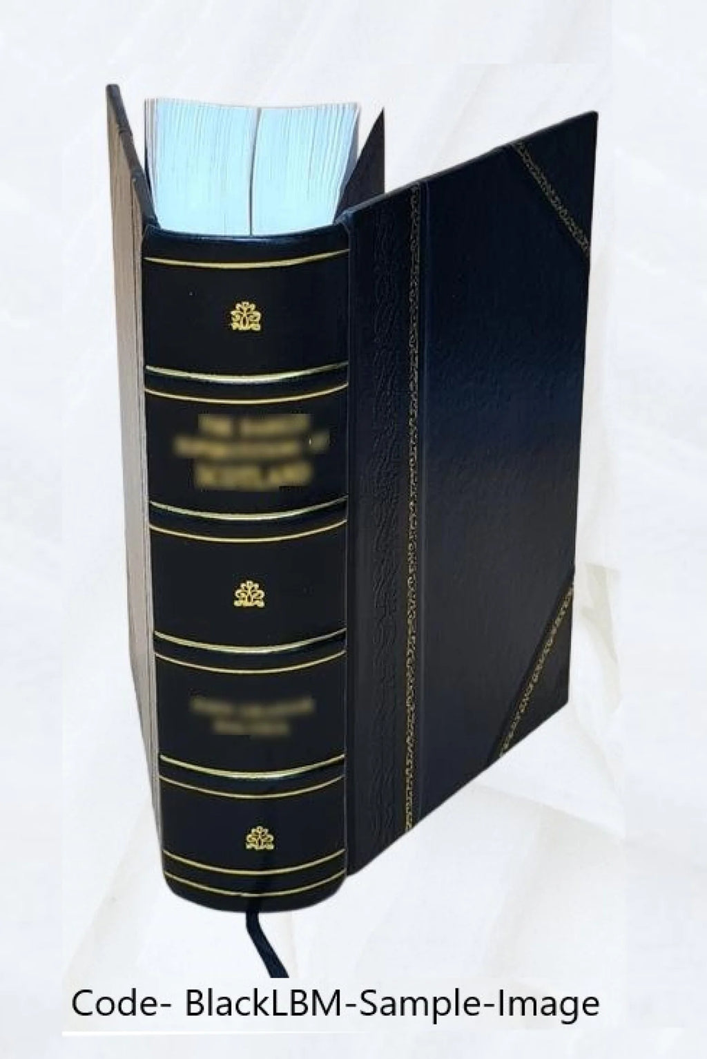 Leather Bound Book A48053