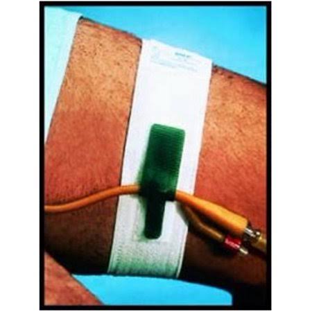 Foley Catheter Holder, Leg Band, 10/Pack O408149