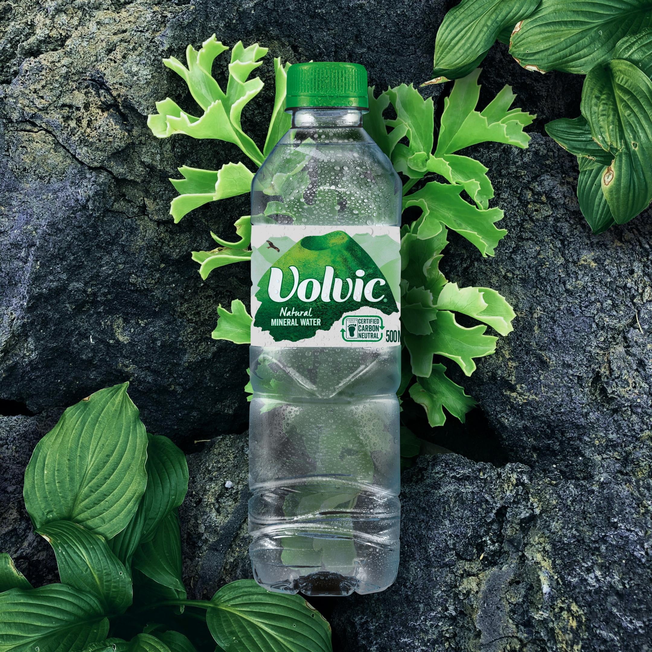 Mineral Water 500ml (Pack of 12) R46056