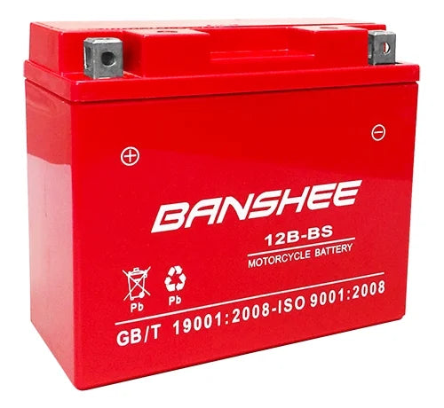 GT12B-4 Replacement Motorcycle Battery P793951