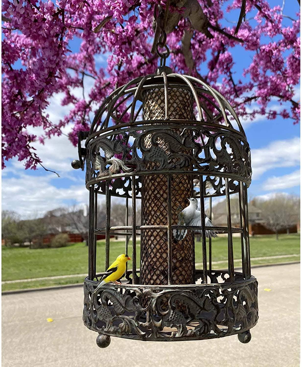 Rustic Metal Squirrel Proof Caged Bird Feeder X72477