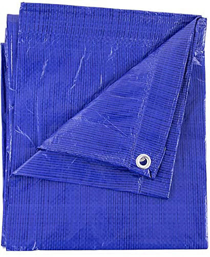 Blue 12-ft x 20-ft Poly Tarp O324