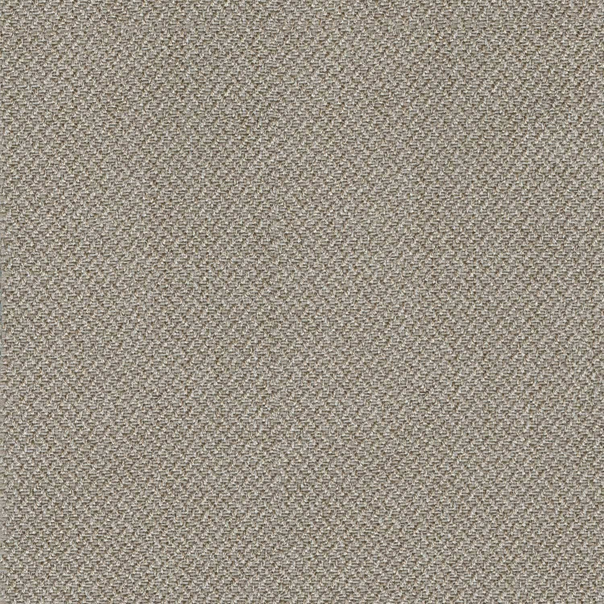 Cashmere Chair C469