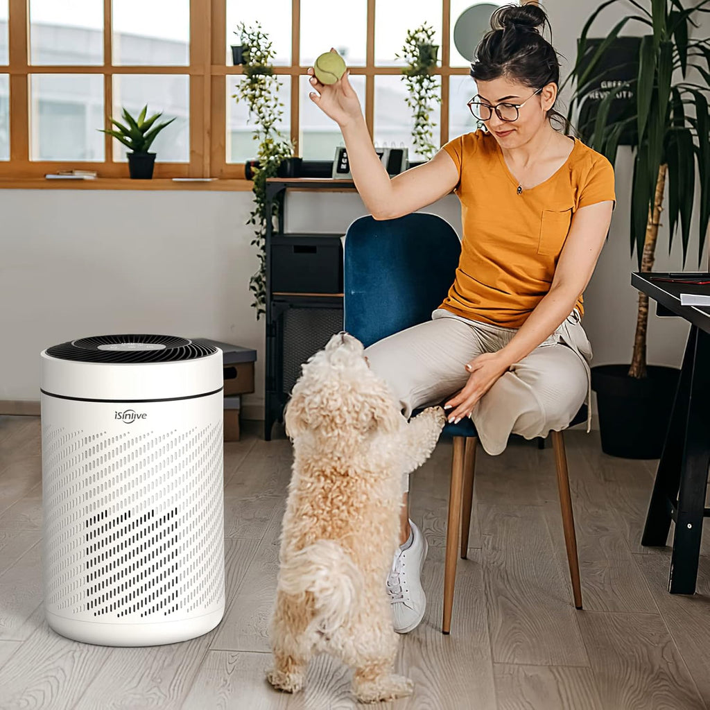 HEPA Air Purifier with PM2.5 Smart Sensor, H13 True HEPA, 22dB M7268