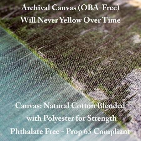 Canvas J925