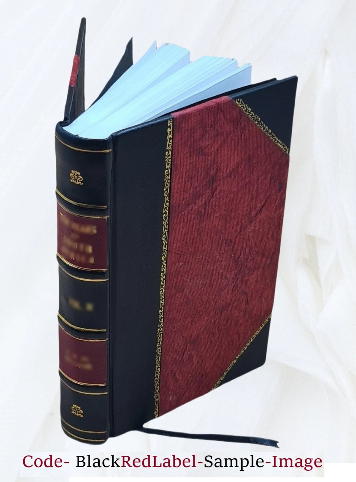 1920 Leather Bound Book I789506